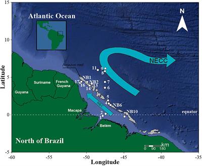 Zooplankton From a Reef System Under the Influence of the Amazon River Plume